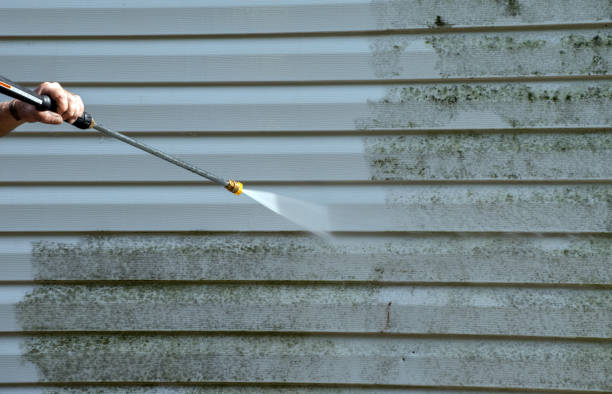 Best Window and Screen Pressure Cleaning in Karnes City, TX